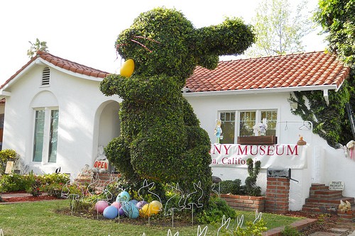 The Bunny Museum