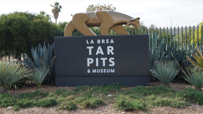 los-angeles-la-brea-tar-pits-and-museum255