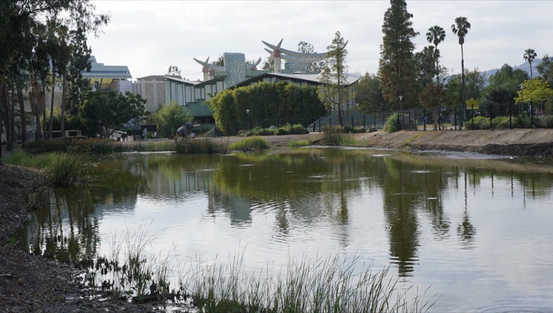 los-angeles-county-museum-of-art-lacma248